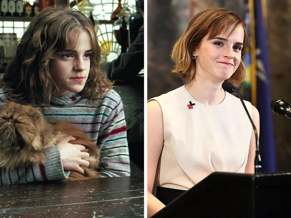 EMMA WATSON VÀ PHONG TRÀO BẢO VỆ MÔI TRƯỜNG
